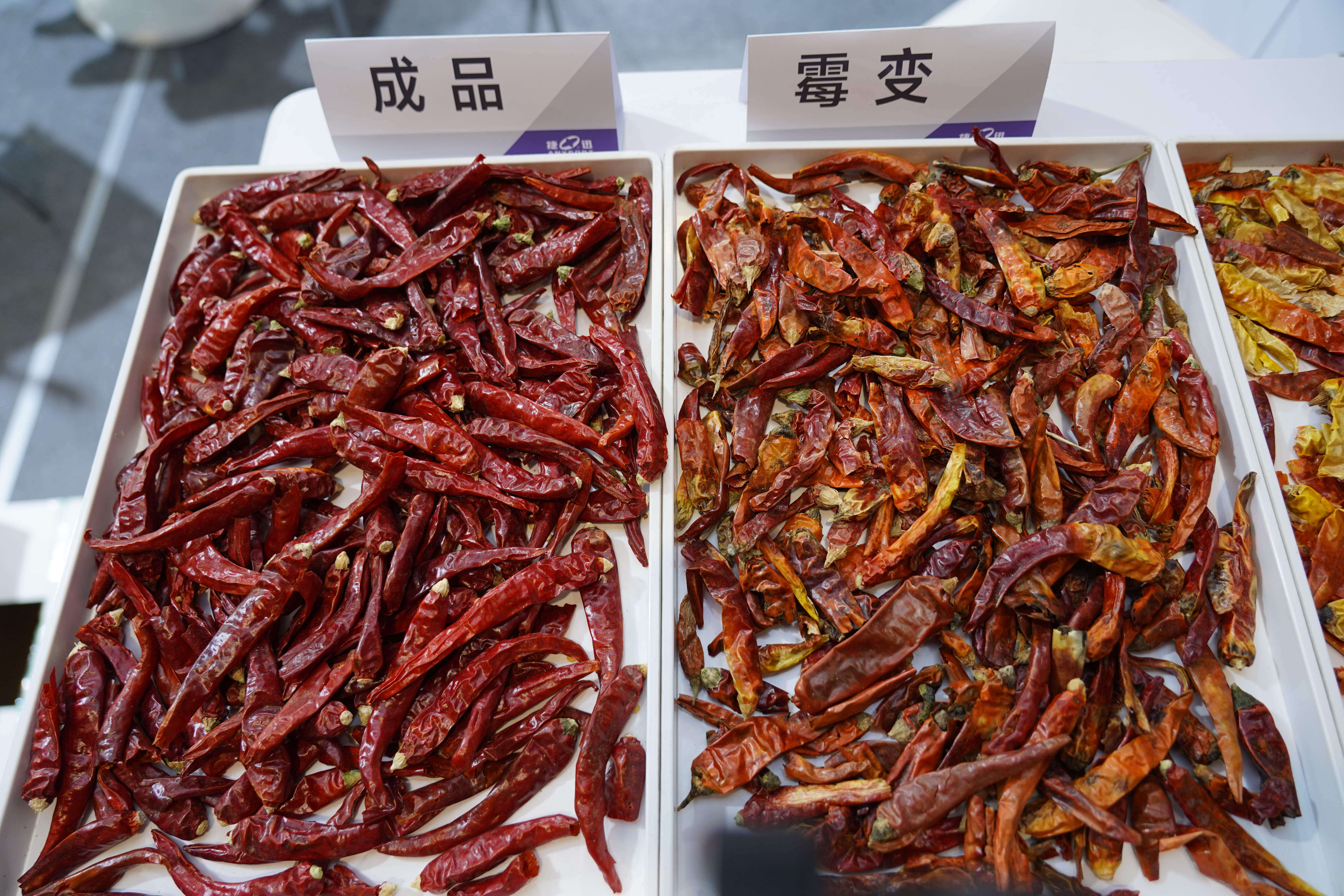 东升国际-「品质引领发展,专一成就将来」