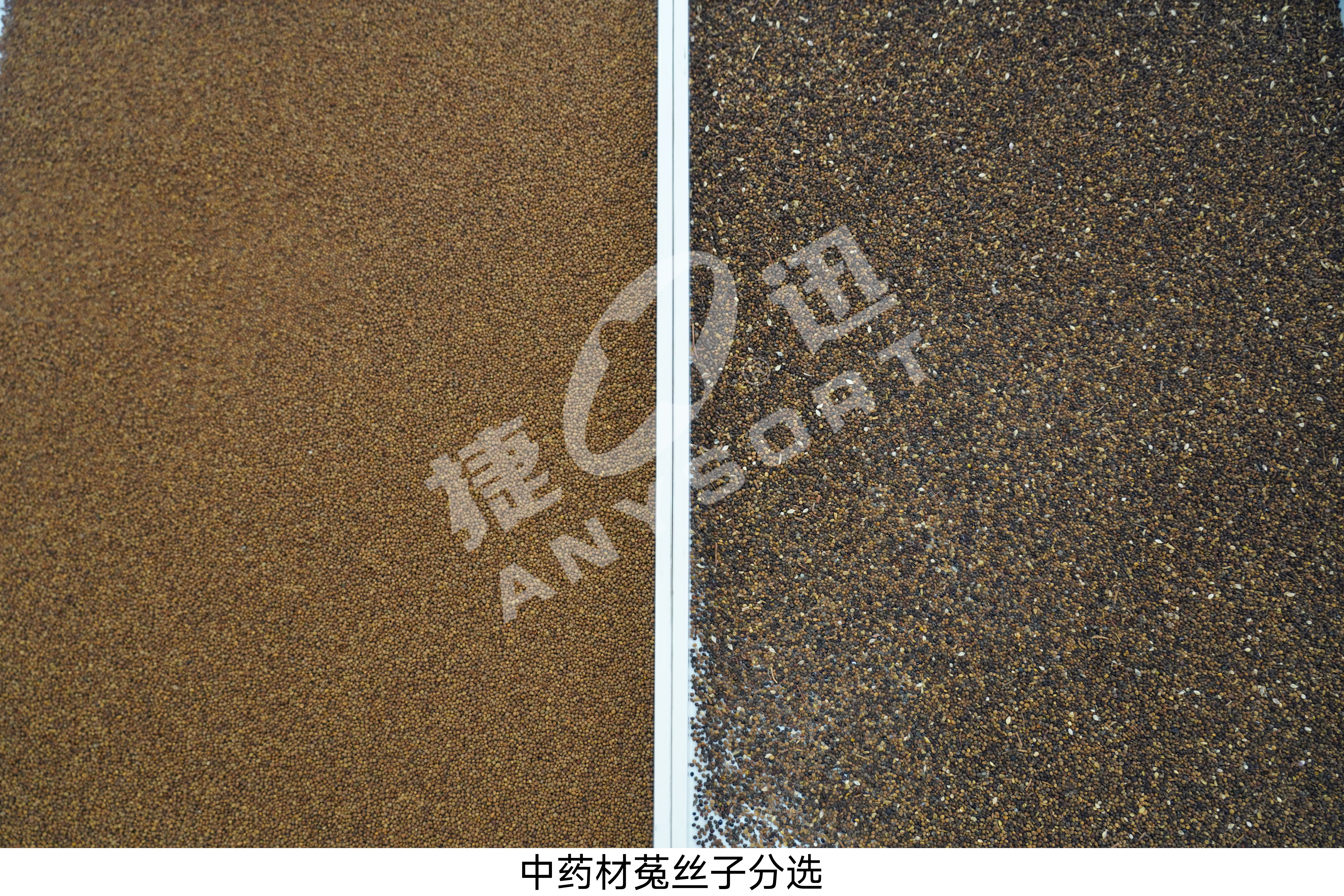 东升国际-「品质引领发展,专一成就将来」