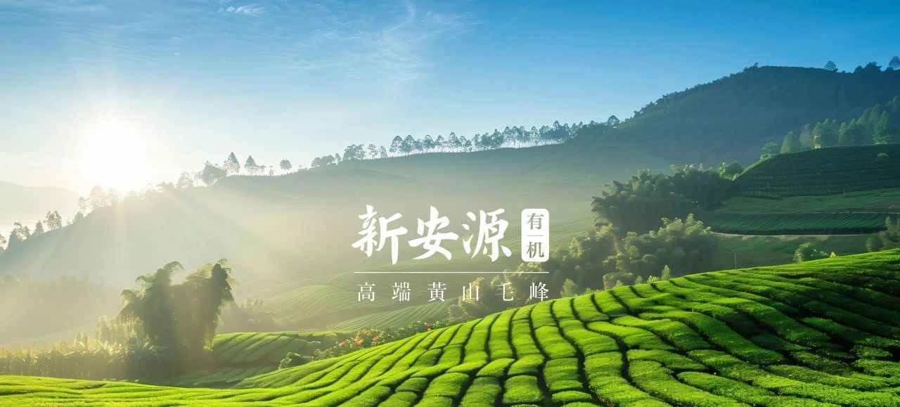东升国际-「品质引领发展,专一成就将来」