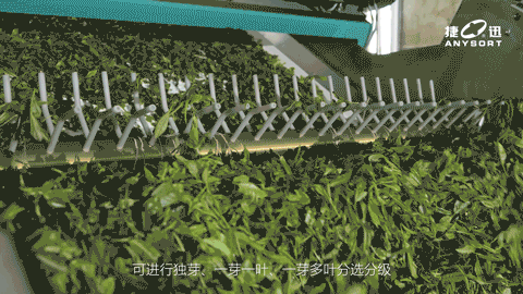 东升国际-「品质引领发展,专一成就将来」