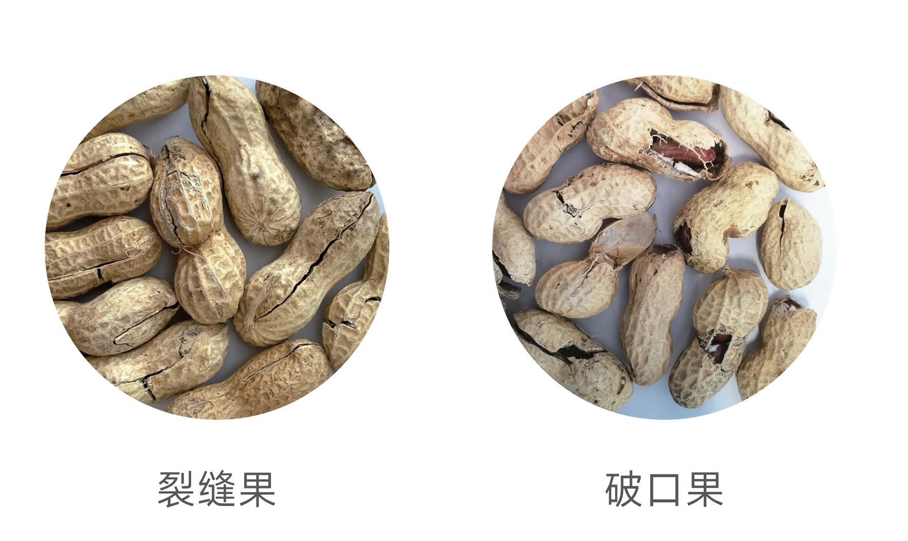 东升国际-「品质引领发展,专一成就将来」