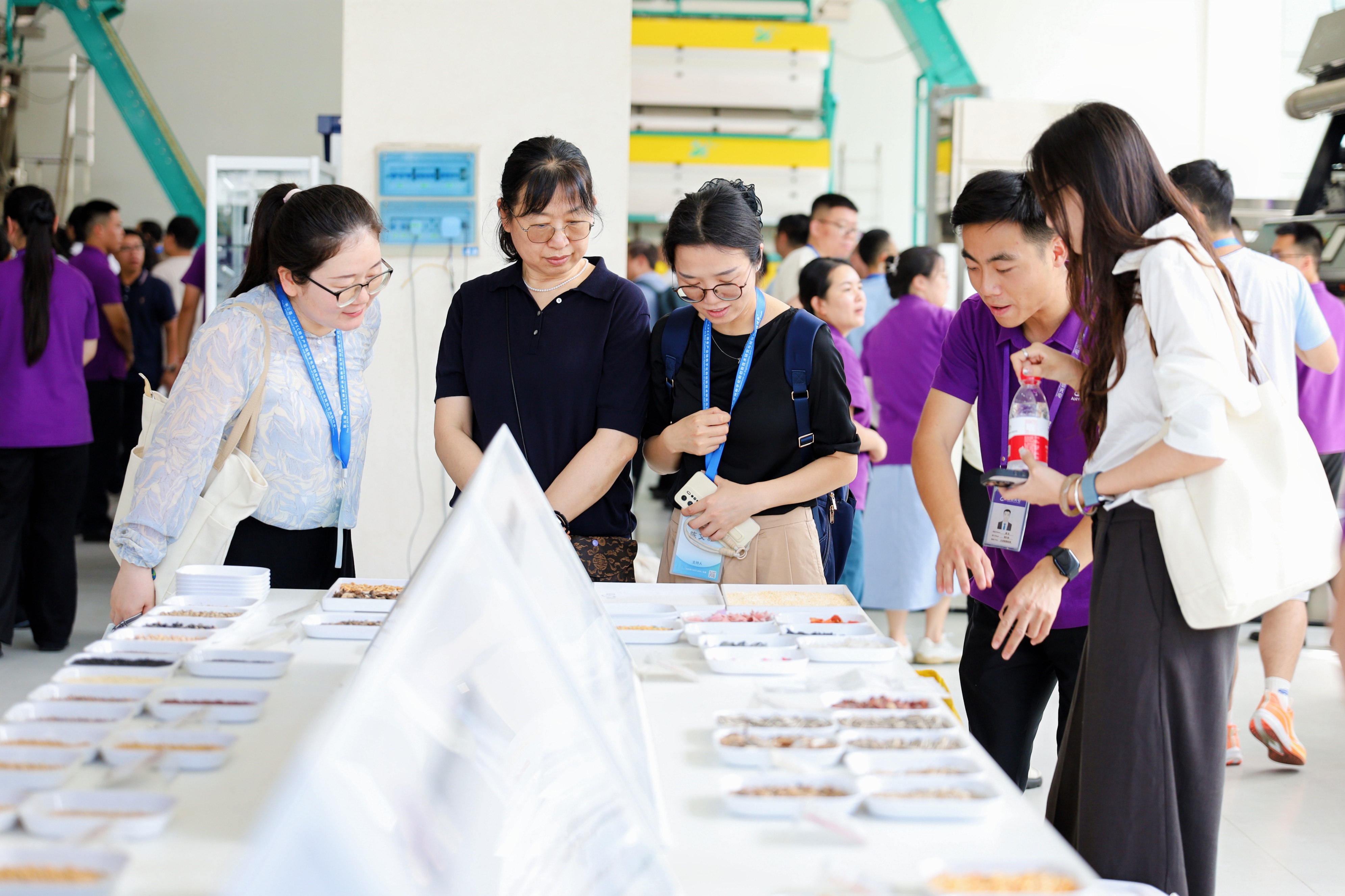 东升国际-「品质引领发展,专一成就将来」